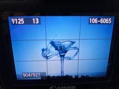 -视禾摄影培训(越秀区分部)