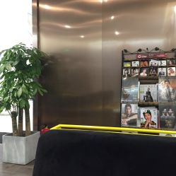 -崇尚GAVIN STYLE臻选