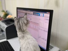 -宠爱国际动物医院· 猫科· 外科·中兽医(长白店)