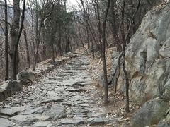 -阳台山自然风景区