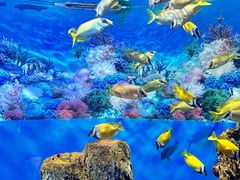 -海合安成都极地海洋公园