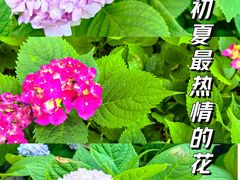-静安雕塑公园