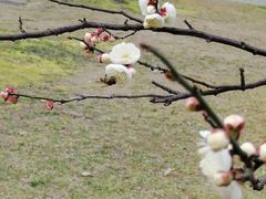 -南通博物苑-崇川人民公园