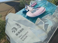 -雅鲁激流探险漂流
