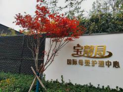 -宝馨月月子中心(友谊医院店)