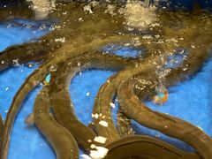 -海景壹号大酒店(惠钱路店)