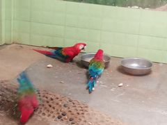 -石家庄市动物园