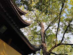 -西园戒幢律寺