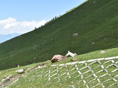 -新疆那拉提国家旅游度假区