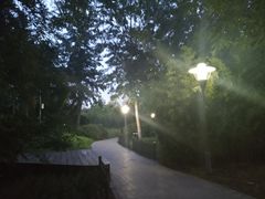 -北极寺公园
