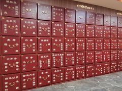 -北京同仁堂施小墨中医馆(建外SOHO店)
