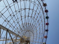 -洋湖国家湿地公园