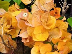 -时光花园(白鹭洲店)