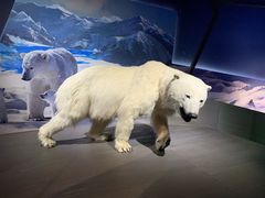 -贝林大翅鲸简餐厅(国家海洋博物馆店)