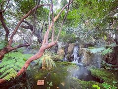 -Chom Cafe and Restaurant