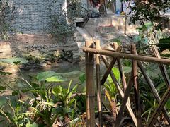 -小洲村