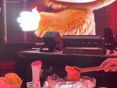 -MOSSO·Liveshow(M3香港广场店)
