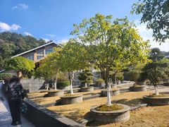 -明月山天沐温泉度假村