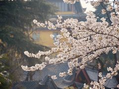 -鸡鸣寺