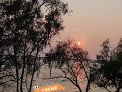 -宝安西湾红树林湿地公园