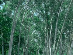 -麓湖高尔夫球俱乐部