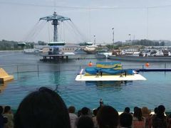 -秦皇岛乐岛海洋王国