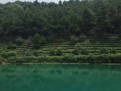 -九龙潭景区