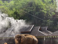 -野象谷景区