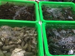 -都斛海鲜街