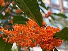 -东钱湖旅游度假区