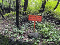 -寂照庵