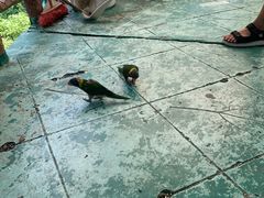 -百万葵园