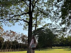 -东莞植物园