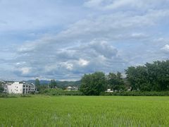 -黄牛肉馆·皖南土菜