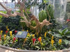 -北京植物园-展览温室