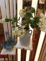 -茜尔维亚修身连锁(杨浦五角场店)