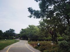 -西安浐灞国家湿地公园