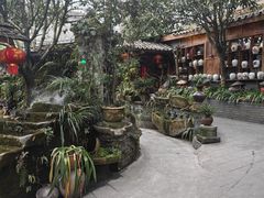 -青城甲(青城山店)