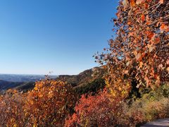 -北京西山国家森林公园
