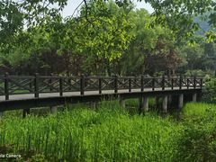 -长广溪湿地公园