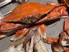 -一方渔歌蒸汽海鲜自助(文化路万达广场店)