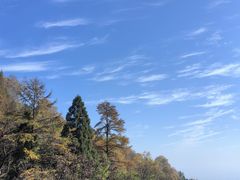 -莫干山风景区