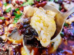-爱妻鱼•老体北重庆水煮鱼•川菜(白云路店)
