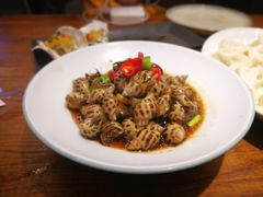 捞汁海螺-必点海鲜·鲅鱼水饺(鞍山西道店)
