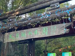 -天目湖山水园