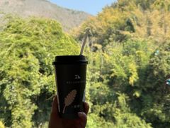 -西双版纳原始森林公园