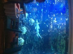 iphone_upload_pic-迪拜帆船酒店海底餐厅