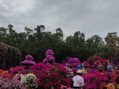 -莲花山公园