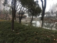 -习家池