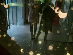 -陕西自然博物馆